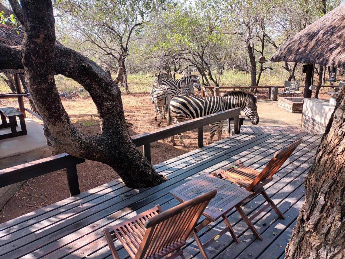 South Safari Lodge Marloth Park Exterior photo